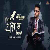 Chup Punjab Siyan New Punjabi Song 2023 By Sippy Gill Poster